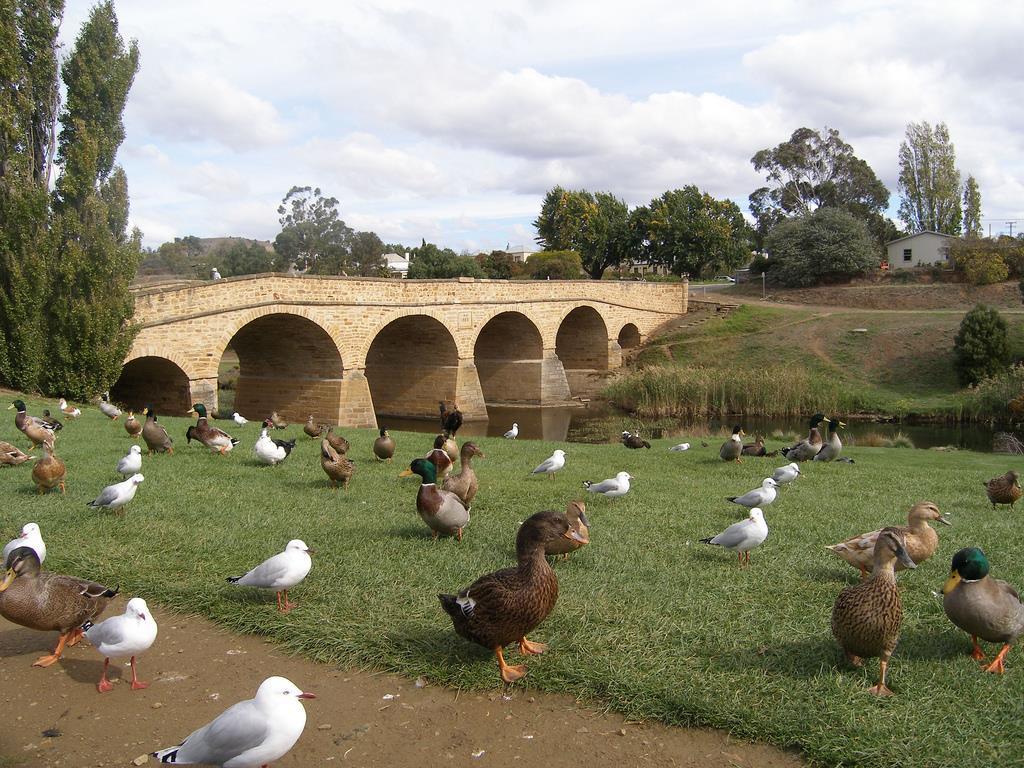 Bridge Cottages Sargeants & Armoury Cottages 1823 - History & Charm Річмонд Екстер'єр фото